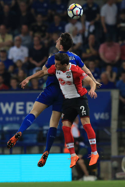 可以预见 可以预见