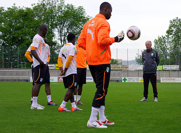 研究库里的 研究库里的