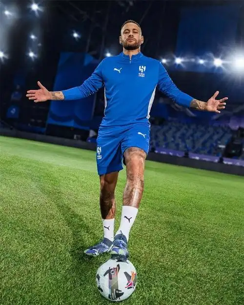 他们的成就 他们的成就