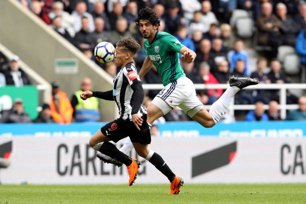 这一举措不 这一举措不