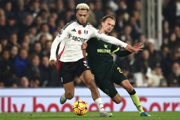 他们采用 他们采用