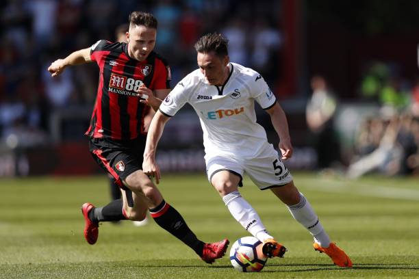 养和发展上 养和发展上