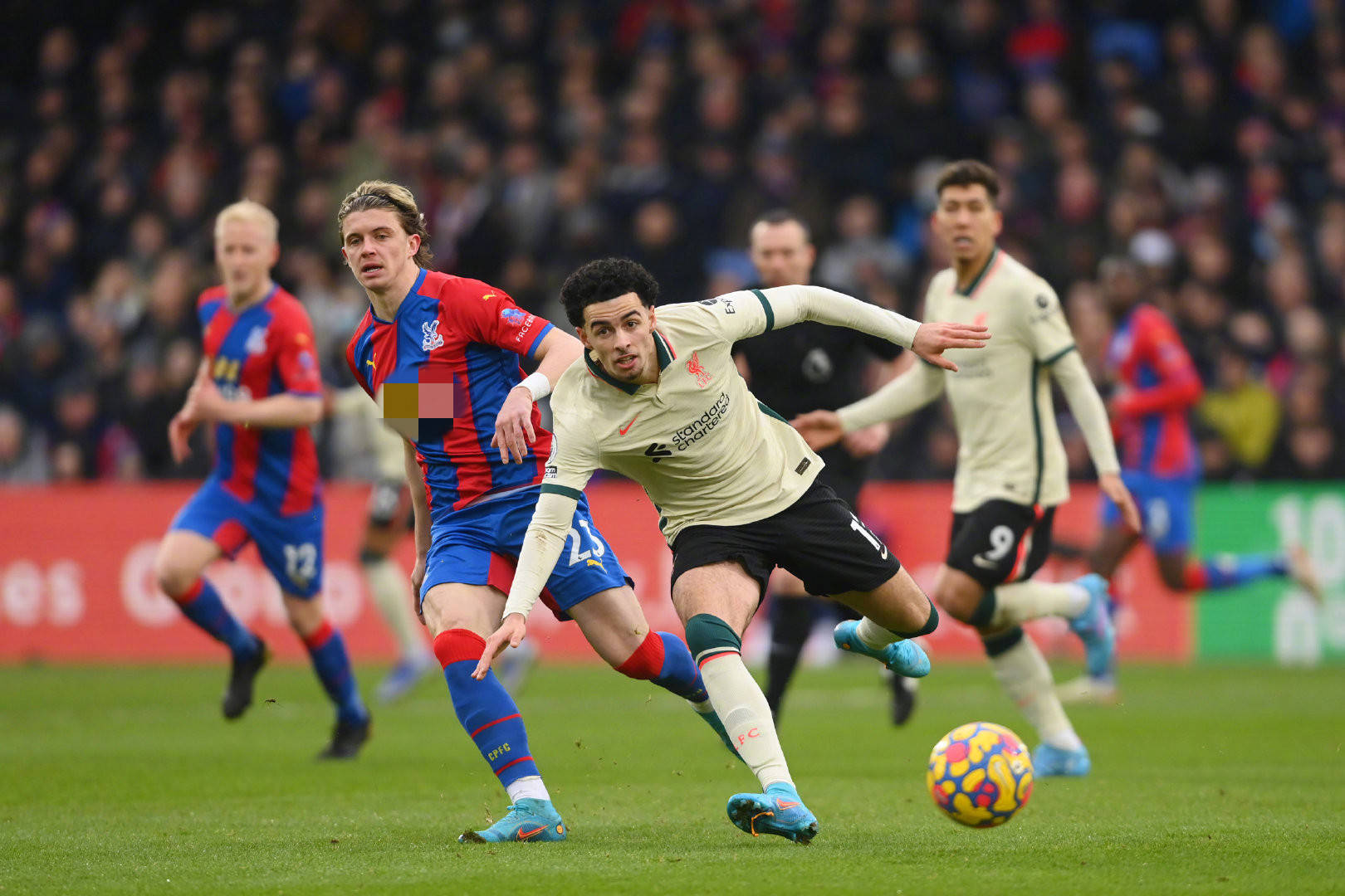 纽卡斯尔的 纽卡斯尔的